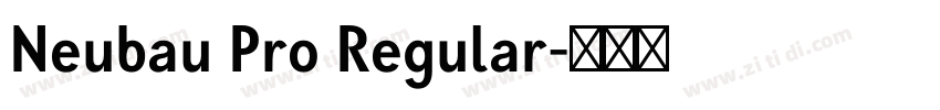 Neubau Pro Regular字体转换